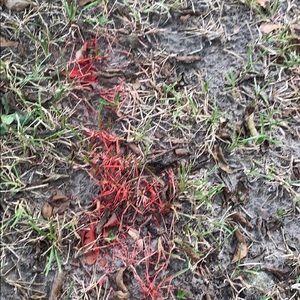 Meet your Posher, Seth